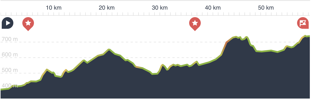 Day 1 profile