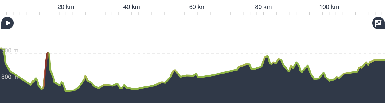 Day 2 profile